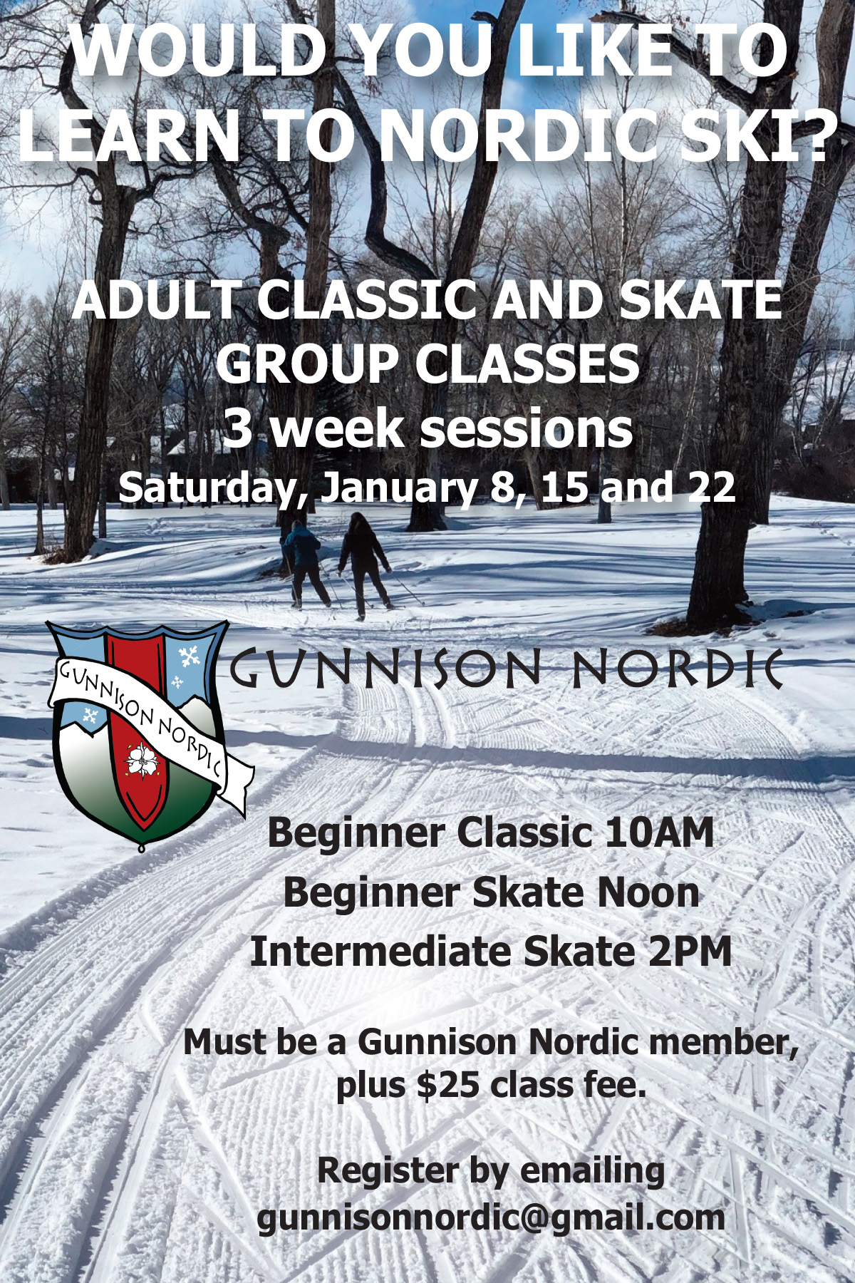 Adult Group Skate and Classic